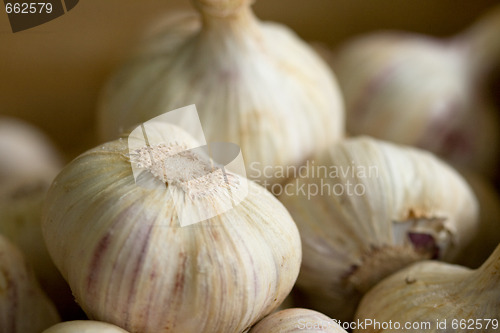 Image of group of garlic in a box