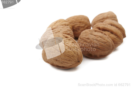 Image of Walnuts