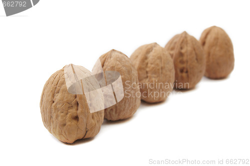 Image of Walnuts