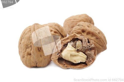 Image of Isolated walnuts