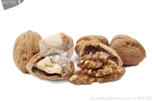 Image of Isolated walnuts