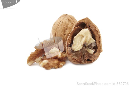 Image of Isolated walnuts