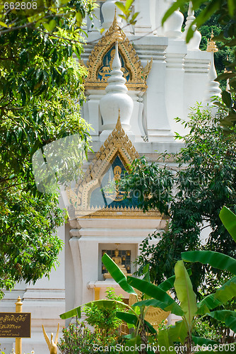 Image of Temple in the jungle