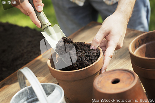 Image of Potting