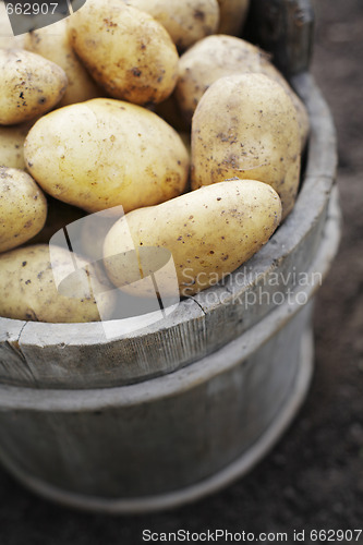 Image of Potatoes