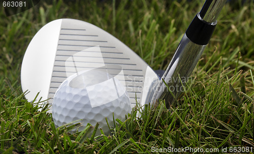 Image of Golf club and ball in grass