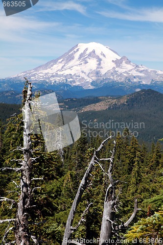 Image of Mount Rainier with Trees