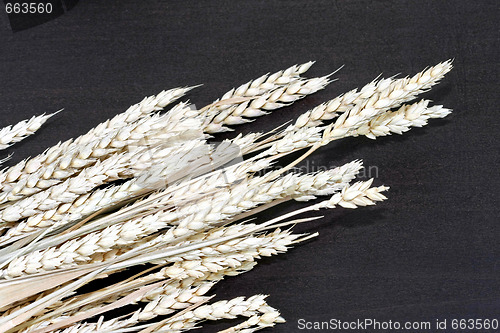 Image of Wheat angle