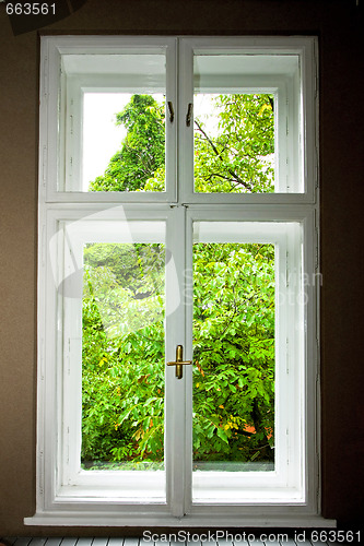 Image of WindowWindow