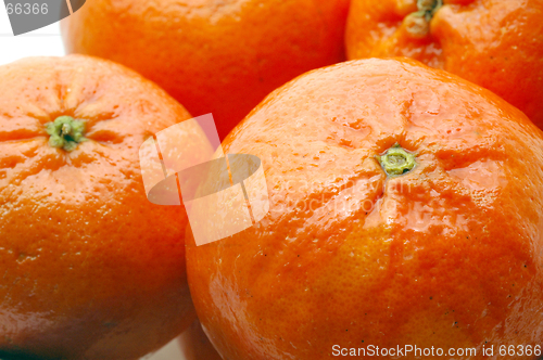 Image of tangerines macro
