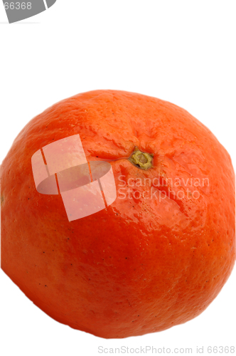 Image of tangerine white background