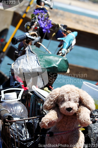 Image of Dog Bike