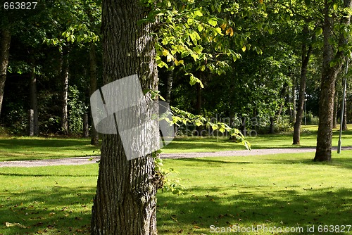 Image of Linden Tree Park