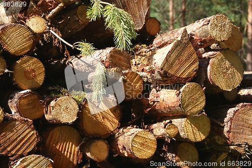 Image of Wood Renewable Energy