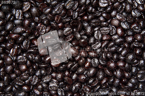 Image of Coffee Bean Background