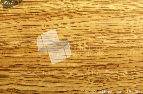Image of Olive wood texture
