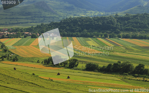 Image of Fields