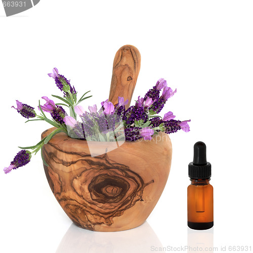 Image of Lavender Herb Flowers and Essence