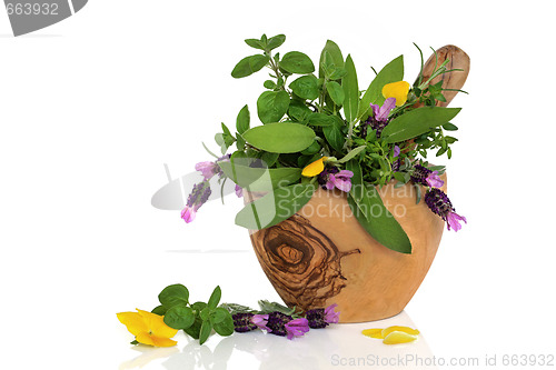 Image of Healing Herbs and Flowers