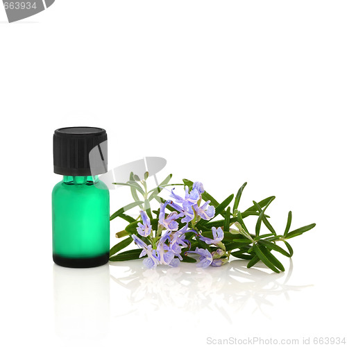 Image of Rosemary Herb Essential Oil