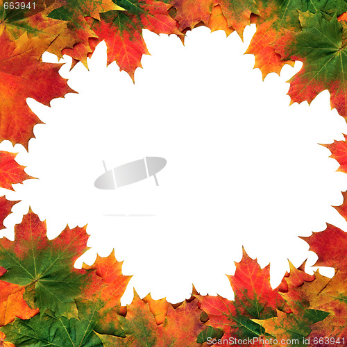 Image of Maple Leaf Abstract Frame