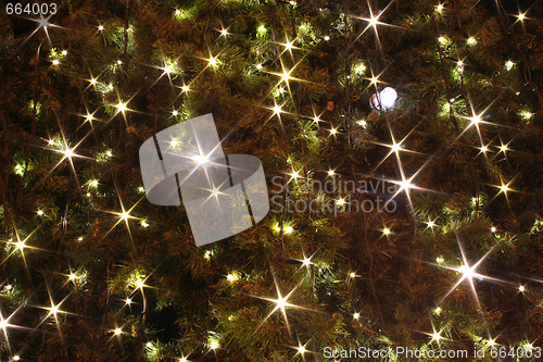 Image of xmas lights