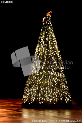 Image of xmas tree