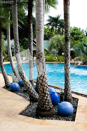 Image of Swimming pool.