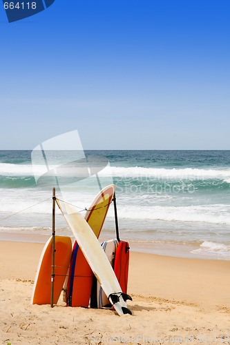 Image of Surf boards.