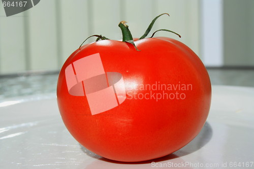 Image of Red Tomato