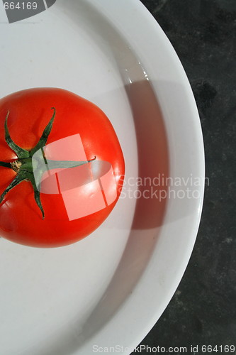 Image of Red Tomato