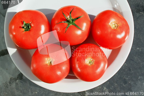 Image of Red Tomatos