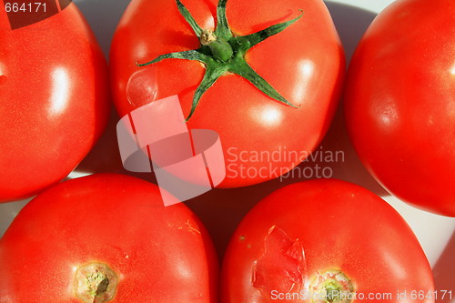 Image of Red Tomatos