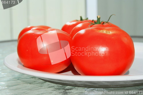 Image of Red Tomatos