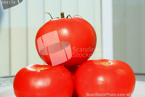 Image of Red Tomatos