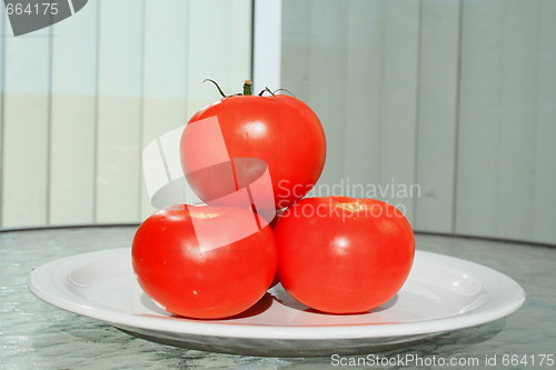 Image of Red Tomatos