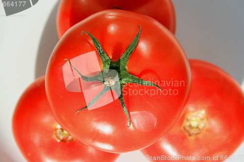 Image of Red Tomatos