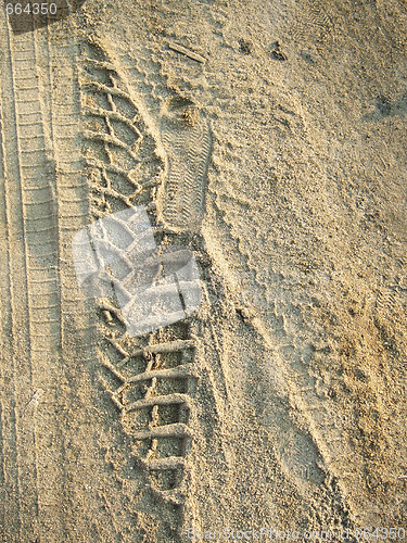 Image of traces
