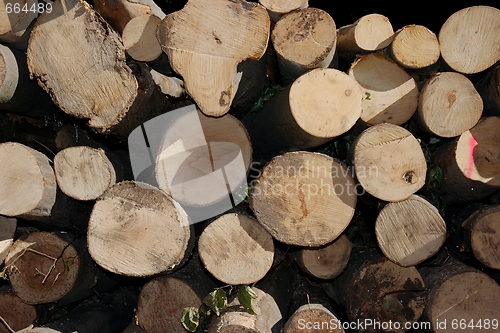 Image of Logpile