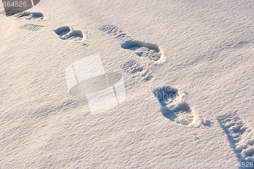 Image of Footprints