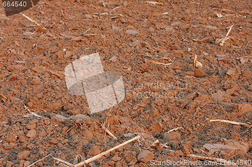 Image of Soil