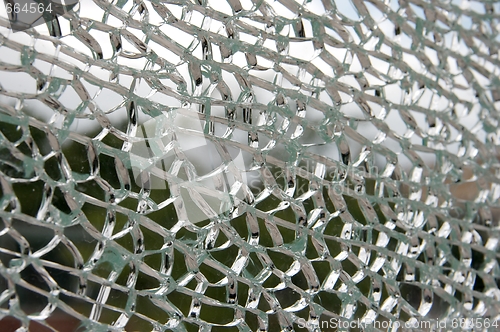 Image of Shattered Glass