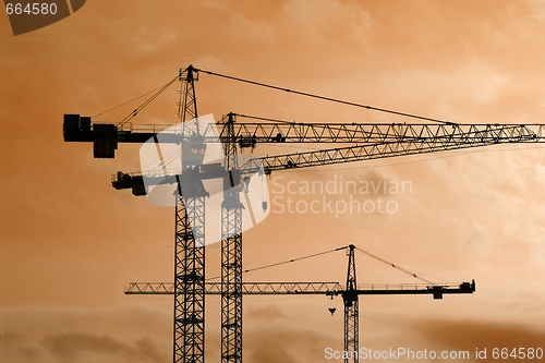 Image of Cranes