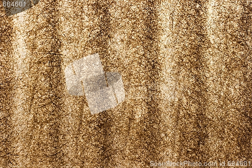 Image of Background