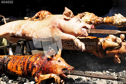 Image of Roasted pigs