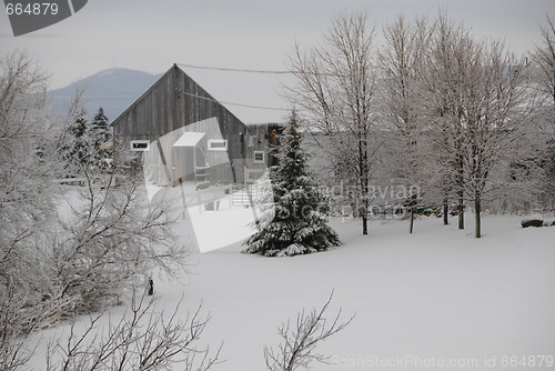 Image of Winter scene