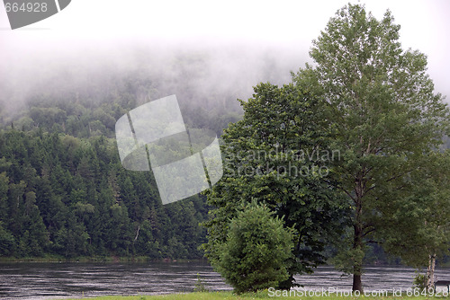 Image of Summer Landscape