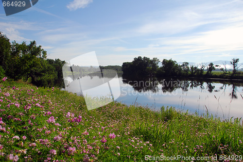 Image of Summer Landscape
