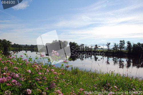 Image of Summer Landscape