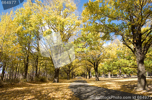 Image of autumn fall country path in park